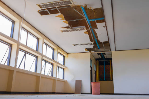 Best Water damage restoration near me  in Rutledge, GA