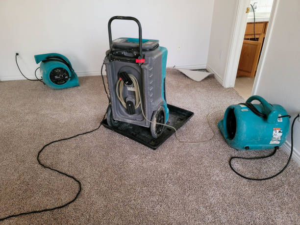 Best Water damage restoration company  in Rutledge, GA