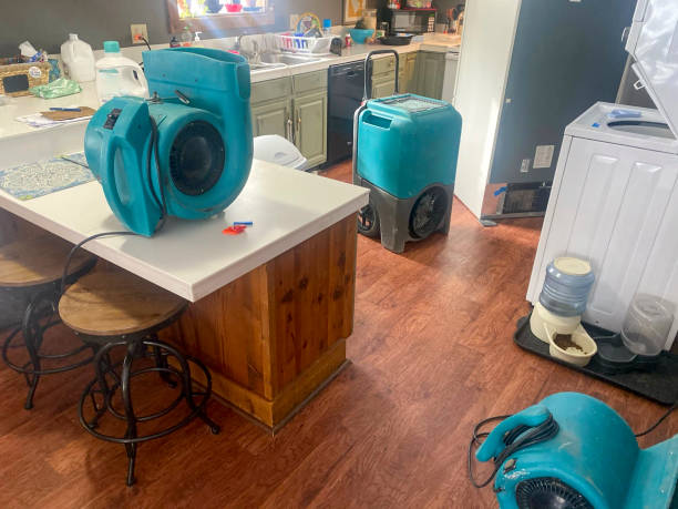 Best 24/7 water damage repair  in Rutledge, GA