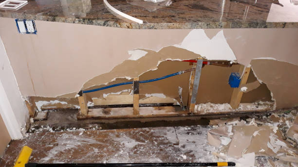 Best Basement water damage restoration  in Rutledge, GA