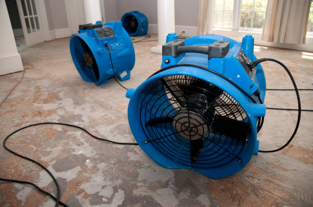 Best Water damage contractors near me  in Rutledge, GA