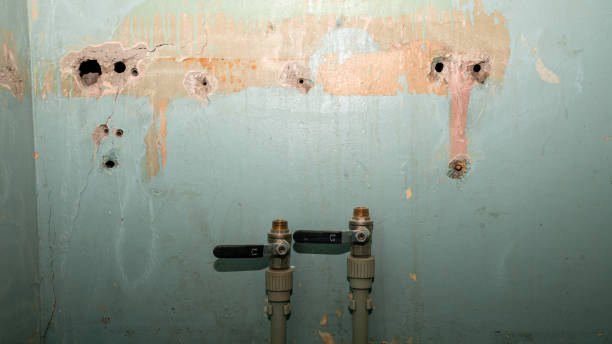Best Flood damage cleanup  in Rutledge, GA