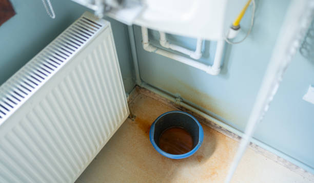 Best Sewage cleanup and water damage restoration  in Rutledge, GA