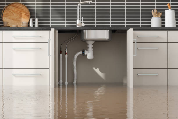 Best 24-hour water damage restoration  in Rutledge, GA