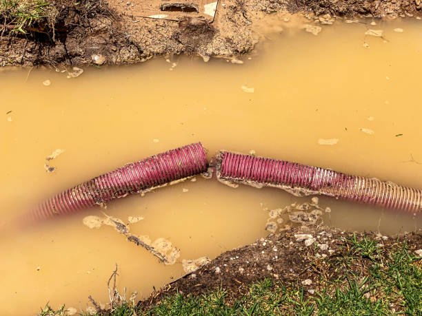 Best Water damage restoration near me  in Rutledge, GA