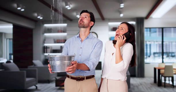 Best Local water damage restoration  in Rutledge, GA