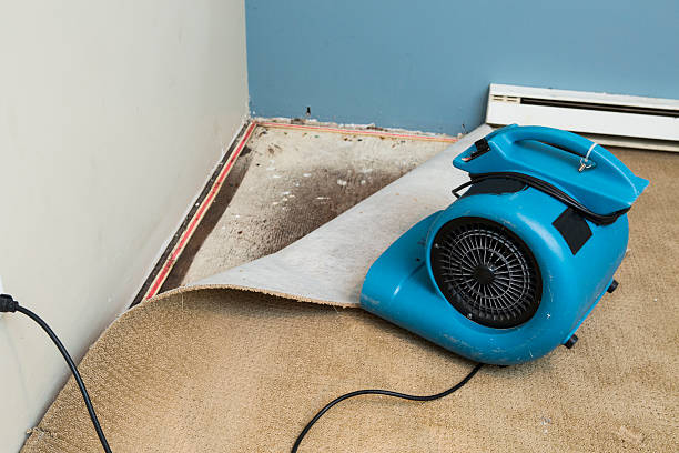 Best Commercial water damage restoration  in Rutledge, GA